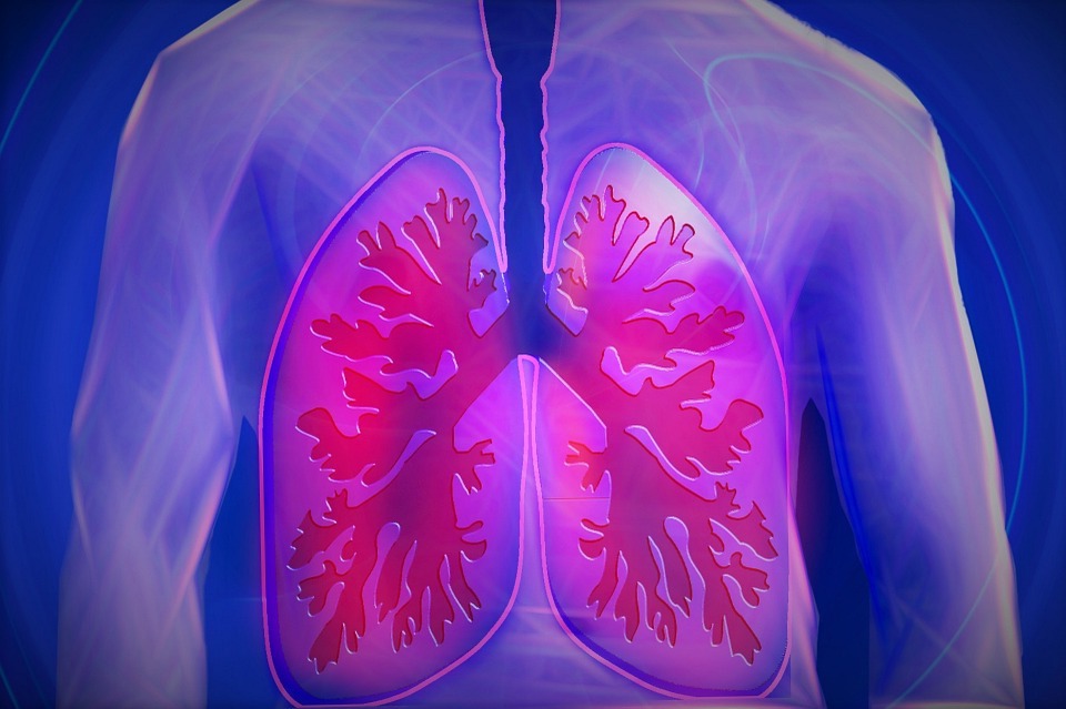 poumons sans cancer